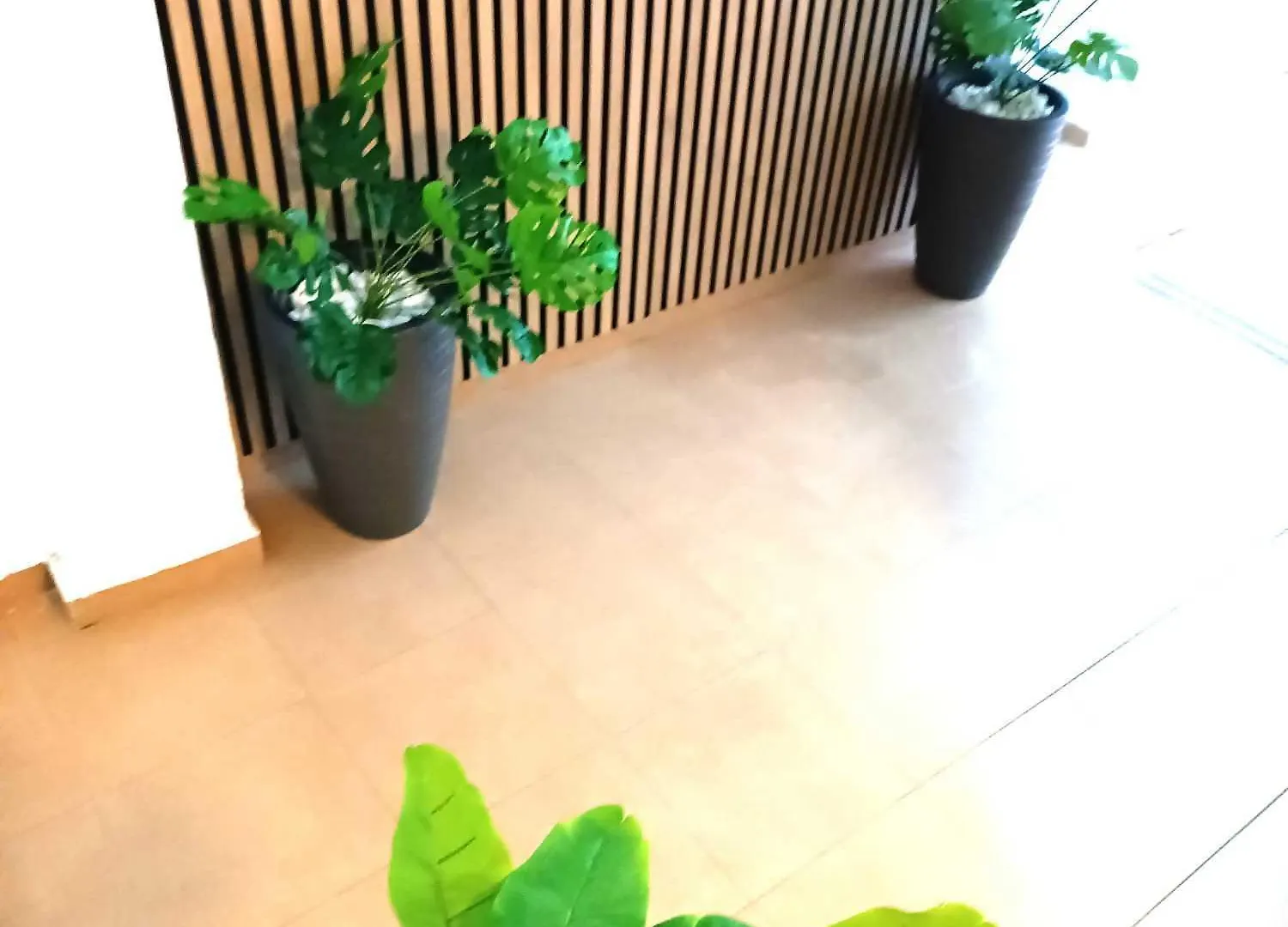 Apartamentos Larios Málaga Appartement