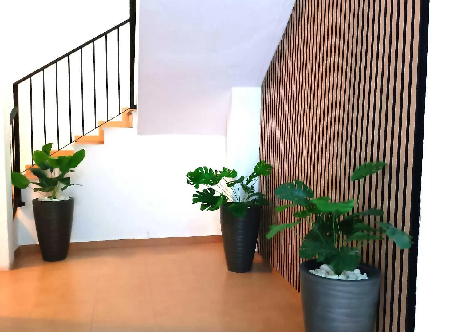 Apartamentos Larios Málaga